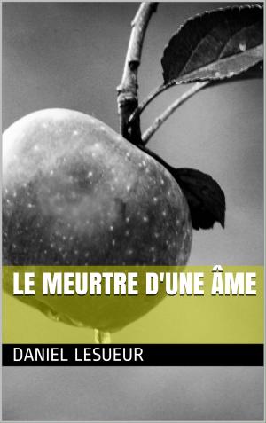 Cover of the book Le meurtre d'une âme by JH Gordon