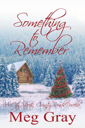 Book cover of Something to Remember
