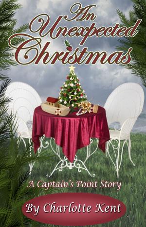 Cover of the book An Unexpected Christmas by Annie Acorn