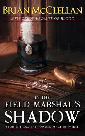 Cover of the book In the Field Marshal's Shadow by S.A. Hunter