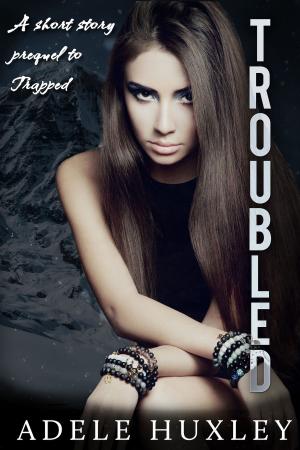 Cover of the book Troubled by KC Decker
