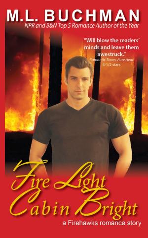 Book cover of Fire Light Cabin Bright