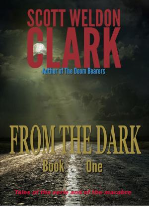 Book cover of From the Dark, Book 1
