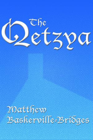 Book cover of The Qetzya