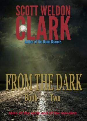 Book cover of From the Dark, Book 2