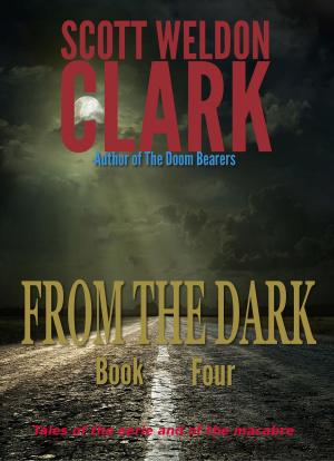 bigCover of the book From the Dark, Book 4 by 
