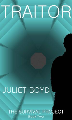 Cover of the book Traitor by Juliet Boyd