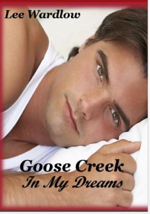 Cover of the book Goose Creek by Jacinta Laurenti