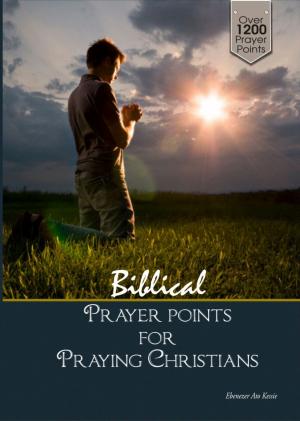Cover of Biblical prayer points for praying Christians