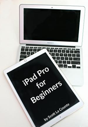 bigCover of the book iPad Pro for Beginners by 