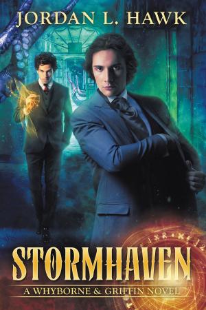Book cover of Stormhaven