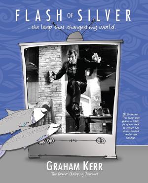 Book cover of Flash of Silver