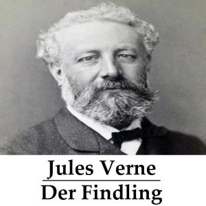 Cover of the book Der Findling (komplett) by Alexandre Dumas