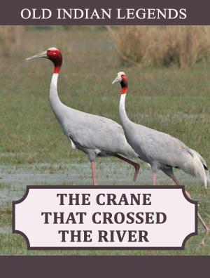 Cover of the book The Crane that Crossed the River by Shirley Anne Edwards