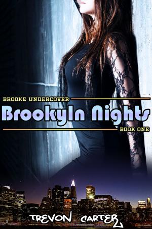 Cover of the book Brooklyn Nights by R.J. Jagger