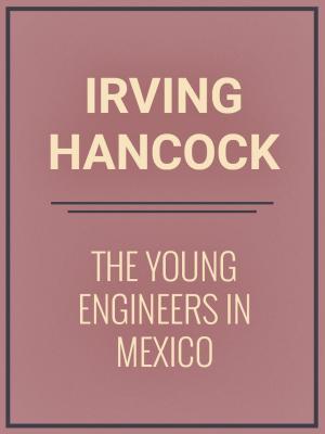 Book cover of The Young Engineers in Mexico