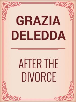 Cover of the book After the Divorce by Horatio Alger