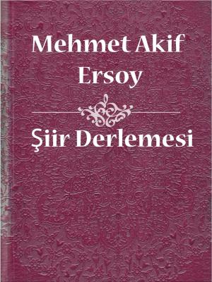 Cover of the book Dede Korkut by William Shakespeare