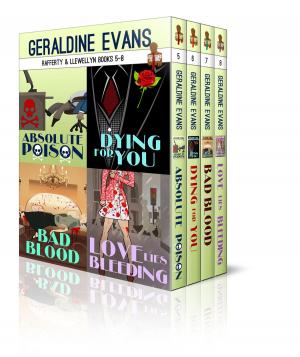 Cover of the book RAFFERTY & LLEWELLYN BOXED SET BOOKS 5 - 8 by Geraldine Evans, Rick Capidamonte, Kimberly Hitchens