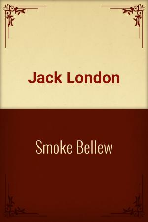 Cover of the book Smoke Bellew by Марк Твен