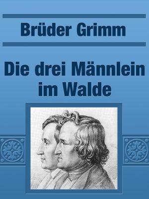 Cover of the book Die drei Männlein im Walde by Walter Scott