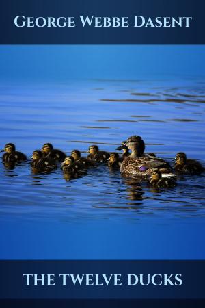 Cover of the book The Twelve Ducks by Luigi Capuana