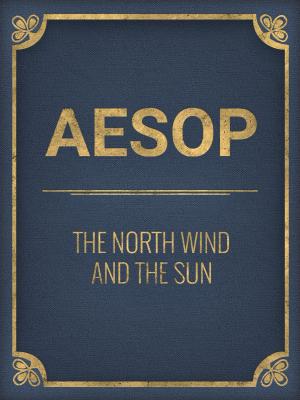Book cover of The North Wind And The Sun