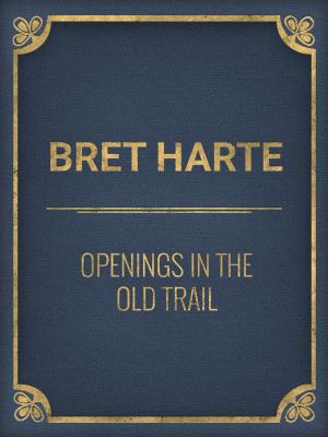 Cover of the book Openings in the Old Trail by T.S.Arthur