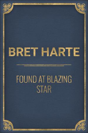 Book cover of Found at Blazing Star