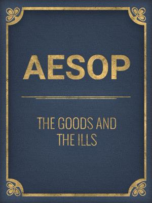 Book cover of The Goods And The Ills