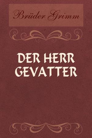 Cover of the book Brüder Grimm by Johann Wilhelm Wolf