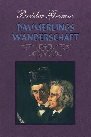 Cover of the book Daumerlings Wanderschaft by Tobias Smollett
