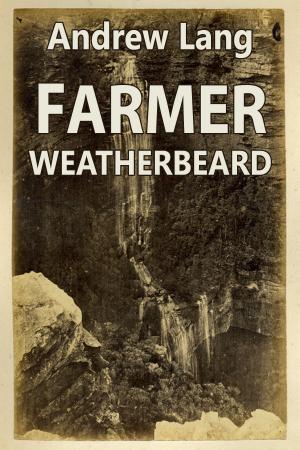 Book cover of Farmer Weatherbeard