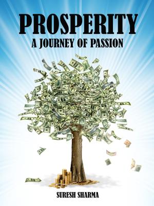 Cover of the book Prosperity - A Journey of Passion by Author Debbie