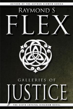 Cover of the book Galleries of Justice by TJ Bainz