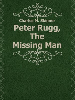 Book cover of Peter Rugg, The Missing Man