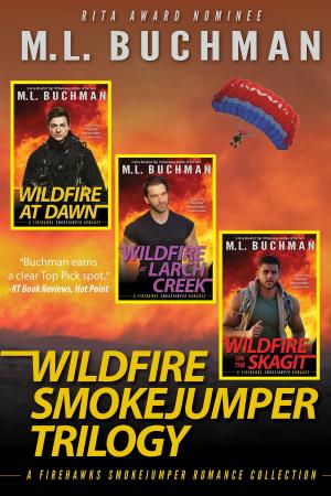Cover of the book Wildfire Smokejumper Trilogy by Larry Young