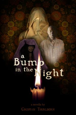Cover of the book A Bump in the Night by Katherine Woodbury