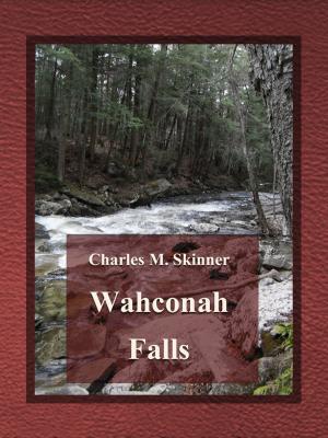 bigCover of the book Wahconah Falls by 