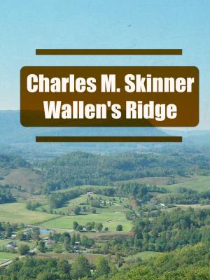 Cover of the book Wallen's Ridge by George Webbe Dasent