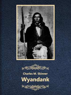 Cover of the book Wyandank by E.T.A Hoffman