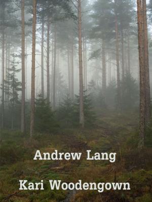 Cover of Kari Woodengown by Andrew Lang, Media Galaxy