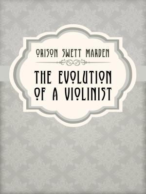 Cover of the book The Evolution Of A Violinist by Horatio Alger