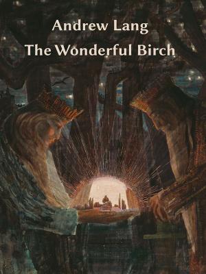 Cover of the book The Wonderful Birch by Andrew Lang