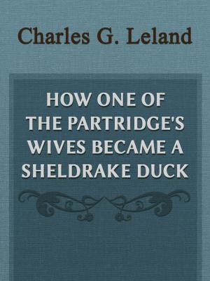 Cover of the book How One Of The Partridge's Wives Became A Sheldrake Duck by E.T.A. Hoffmann