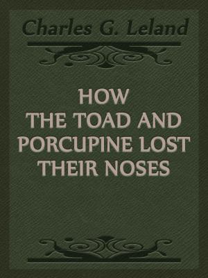 Book cover of How The Toad And Porcupine Lost Their Noses