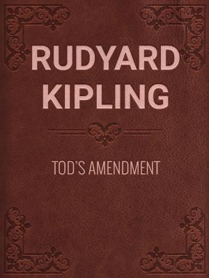 Cover of the book TOD'S AMENDMENT by Red Tash