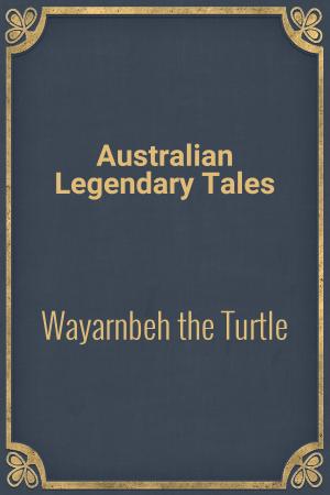 Cover of the book Wayarnbeh the Turtle by F. Anstey