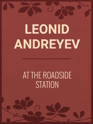 Cover of the book AT THE ROADSIDE STATION by Charles Farrar Browne