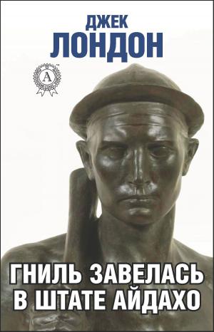Cover of the book Гниль завелась в штате Айдахо by Николай Михайловский
